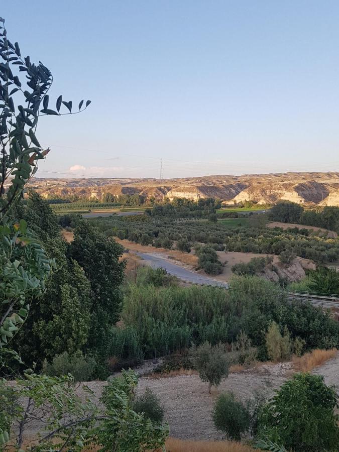Cueva Maite Lägenhet Cortes de Baza Exteriör bild